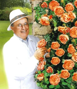 Set Clematis 'The President' & Klimroos 'Papi Delbard®' -Planten Promotie Winkel 8901292916766