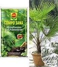 COMPO® SANA® Palmpotgrond & Winterharde Palm